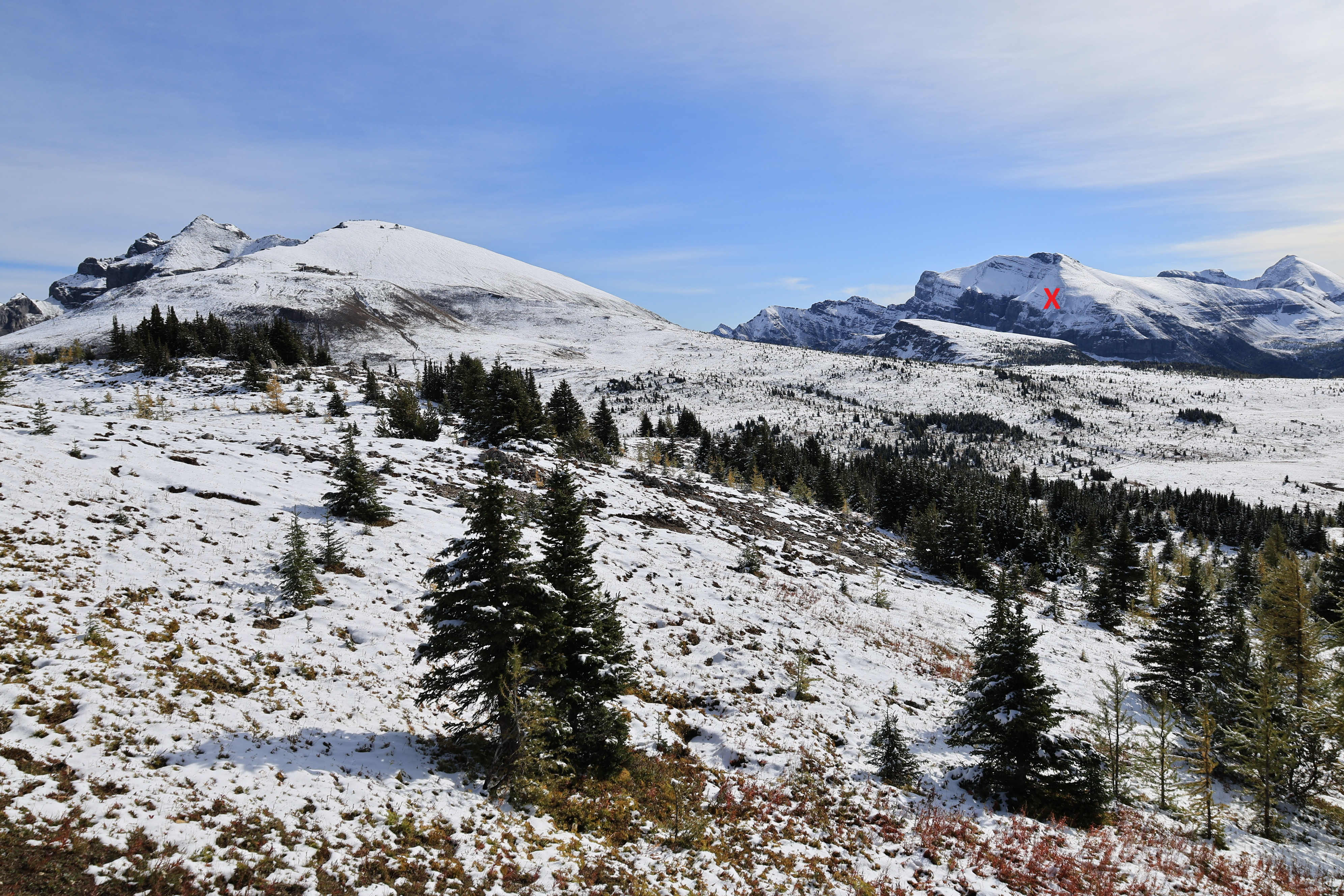 Sunshine Meadows